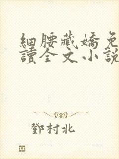 细腰藏娇免费阅读全文小说苏珞浅