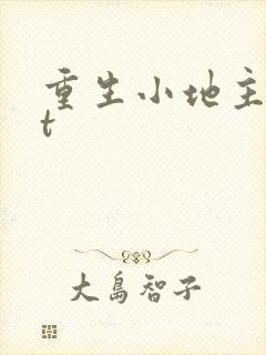 重生小地主txt