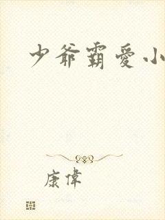 少爷霸爱小丫头