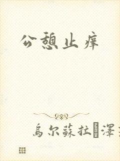 公憩止痒封面