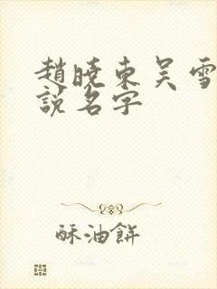 赵晓东吴雪晴小说名字