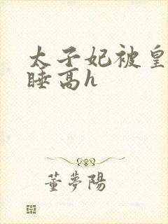 太子妃被皇上强睡高h