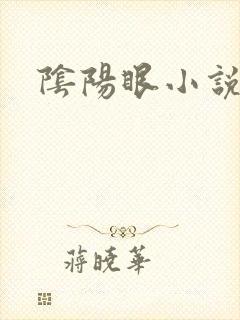 阴阳眼小说