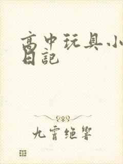 高中玩具小诗的日记