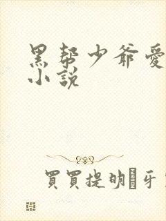 黑帮少爷爱上我小说