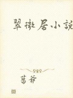 翠微居小说封面