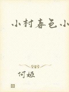 小村春色小说