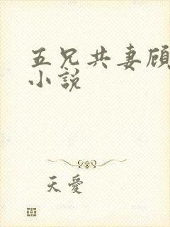 五兄共妻顾心儿小说
