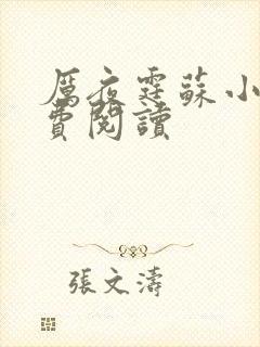 厉夜霆苏小汐免费阅读