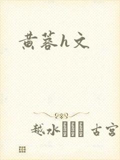 黄蓉h文封面