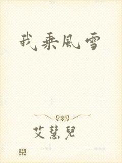 我乘风雪封面
