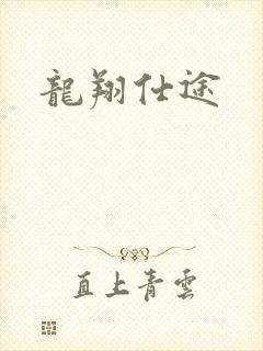龙翔仕途