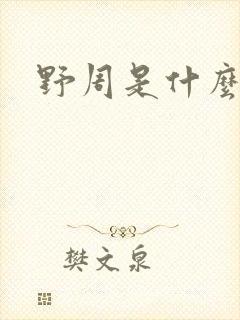 野周是什么意思