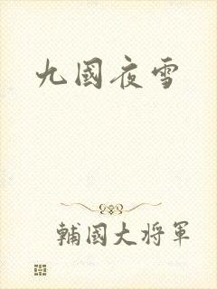 九国夜雪