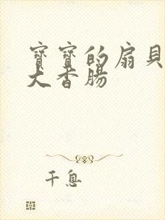 宝宝的扇贝想吃大香肠封面