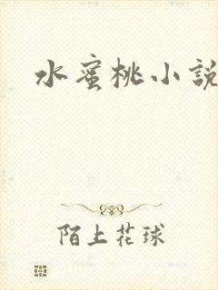水蜜桃小说