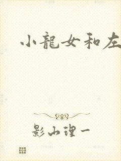 小龙女和左剑清封面