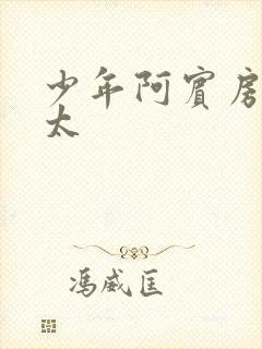 少年阿宾房东太太