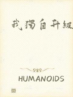 我独自升级封面