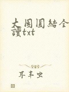 大团圆结全文阅读txt