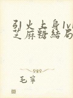 引火上身1v1芝麻糖结局封面