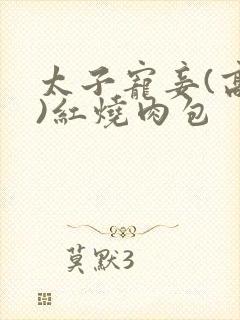 太子宠妾(高肉)红烧肉包