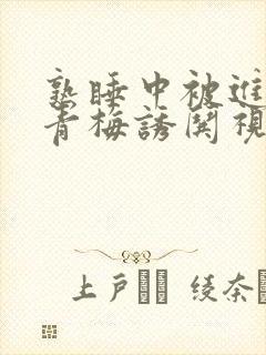 熟睡中被进了H青梅诱哄视频