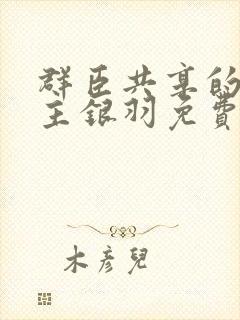 群臣共享的小公主银羽免费阅读