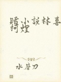 赌小说林喜朝和柯煜