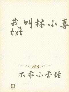 我叫林小喜小说txt