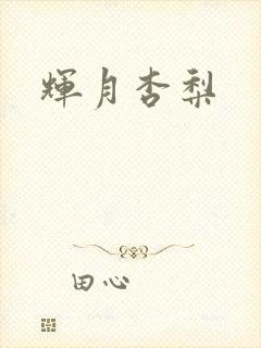 辉月杏梨封面