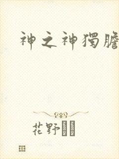 神之神独胆王封面