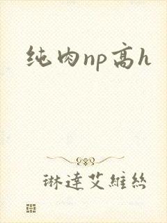 纯肉np高h封面