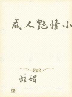 成人艳情小说封面