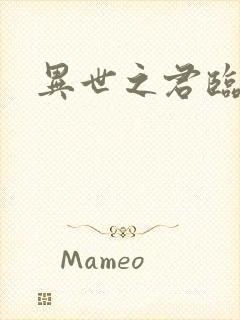 异世之君临天下