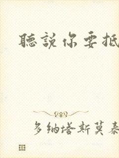 听说你要抵抗我