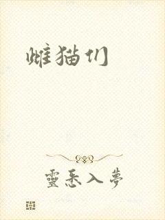 雌猫们