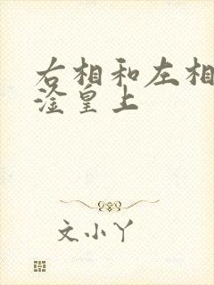右相和左相一起淦皇上