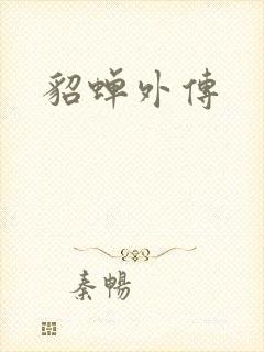 貂蝉外传封面