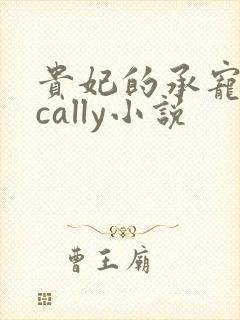 贵妃的承宠日常cally小说封面