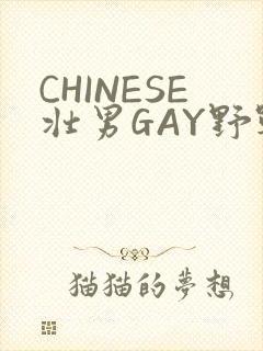 CHINESE壮男GAY野战强迫TUBE