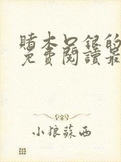 赌木口银的小说免费阅读最新