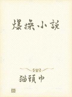 爆操小说封面