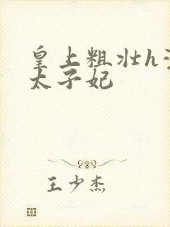 皇上粗壮h灌满太子妃