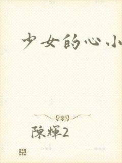 少女的心小说