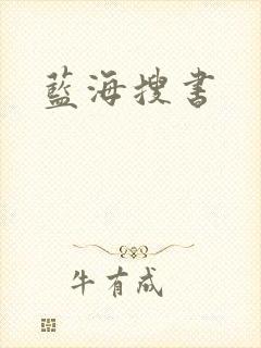 蓝海搜书封面