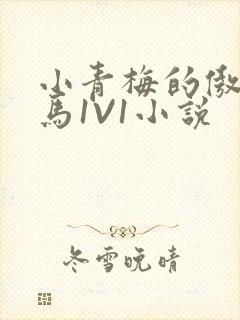 小青梅的傲娇竹马1V1小说