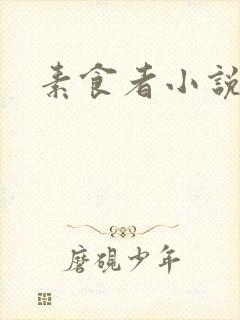 素食者小说