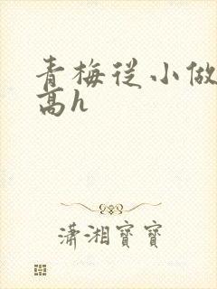 青梅从小做到大高h封面