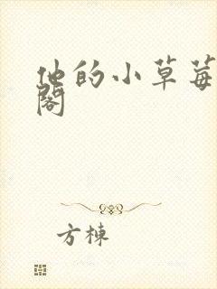 他的小草莓笔趣阁封面